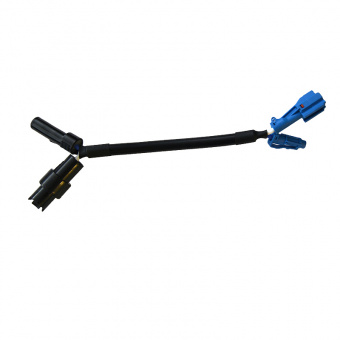 ���������� MTF-SHOME